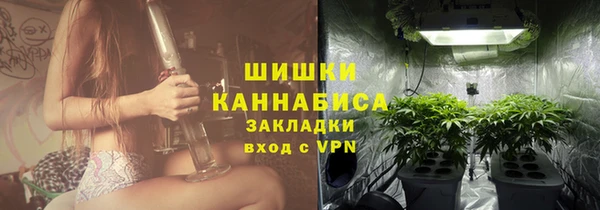 шишки Ельня