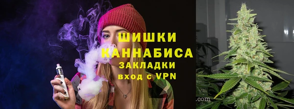 шишки Ельня