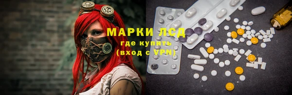шишки Ельня