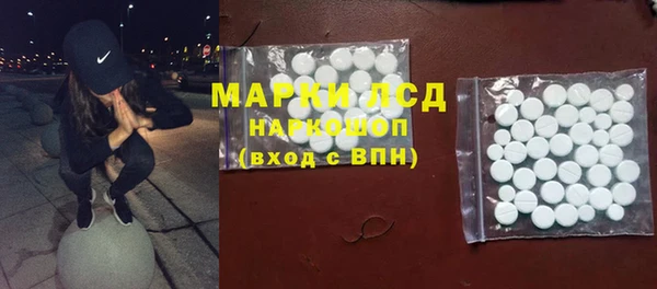 шишки Ельня