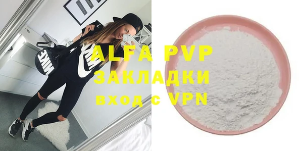 шишки Ельня