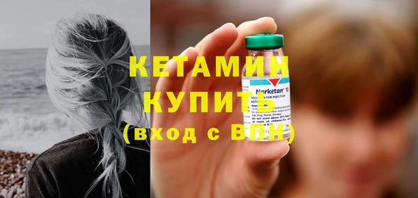 шишки Ельня