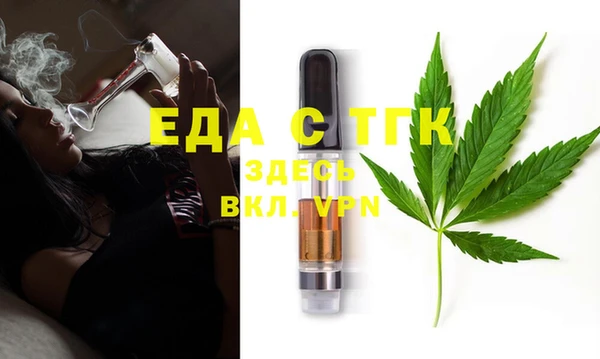 шишки Ельня