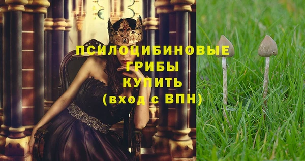 скорость mdpv Елабуга