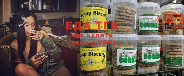 шишки Ельня