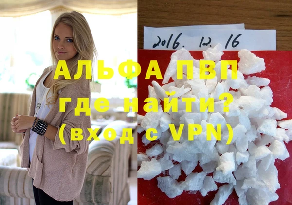 шишки Ельня