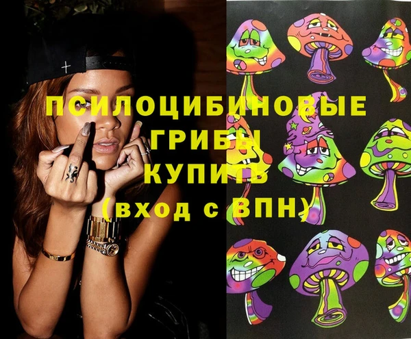 mdpv Елизово