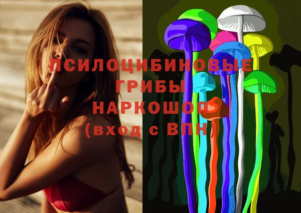 шишки Ельня
