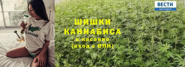 шишки Ельня