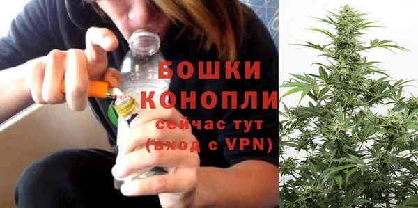 mdpv Елизово