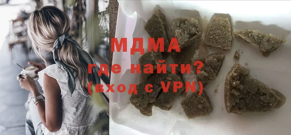 шишки Ельня