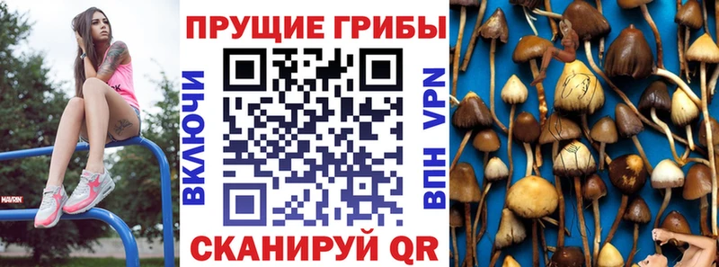 Купить где  Гуково  Галлюциногенные грибы мицелий 