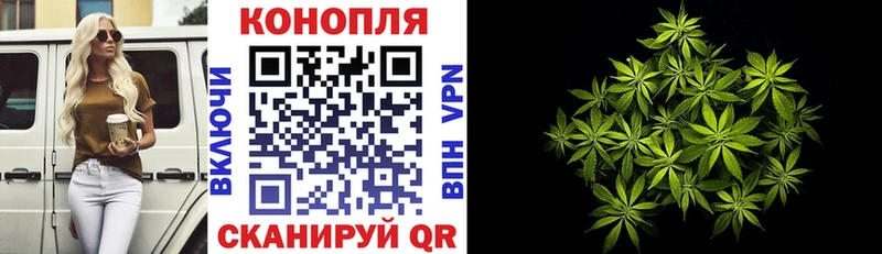Купить где  Гуково  Канабис THC 21% 